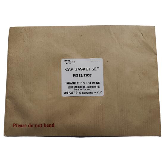 Spirax Sarco Cap Gasket Set