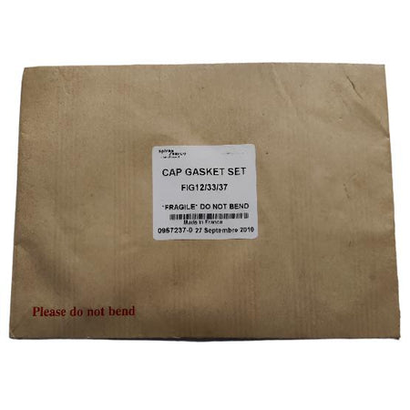 Spirax Sarco Cap Gasket Set